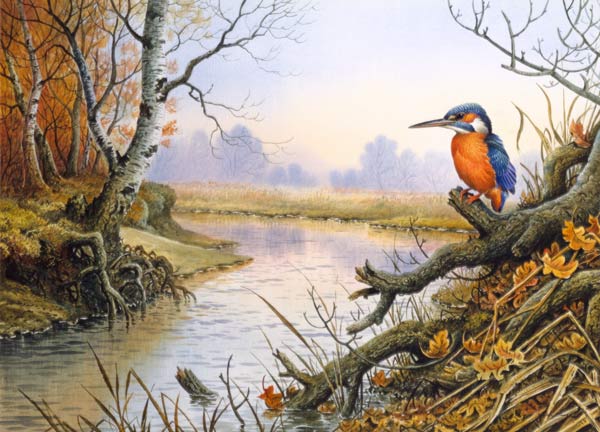 Kingfisher: Autumn River Scene  de Carl  Donner