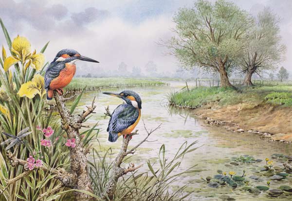 Kingfishers on the Riverbank  de Carl  Donner