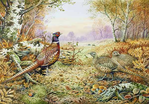 Pheasants in Woodland  de Carl  Donner