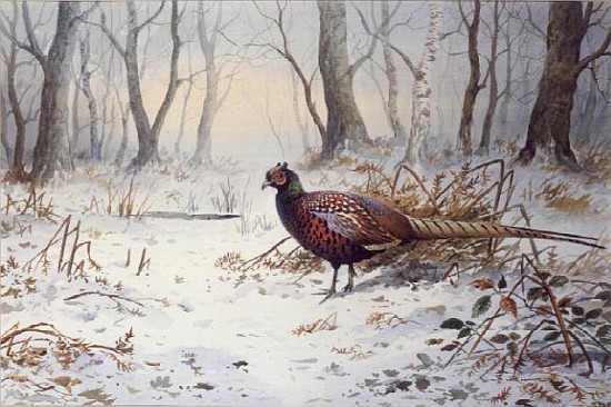 Pheasants in Snow (w/c)  de Carl  Donner