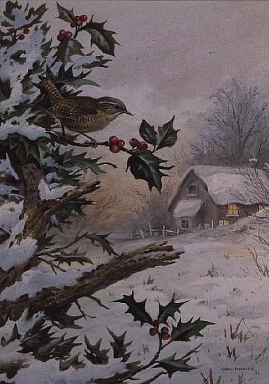 Wren in Hollybush by a cottage  de Carl  Donner