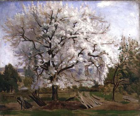 Apple Tree in Blossom de Carl Fredrik Hill