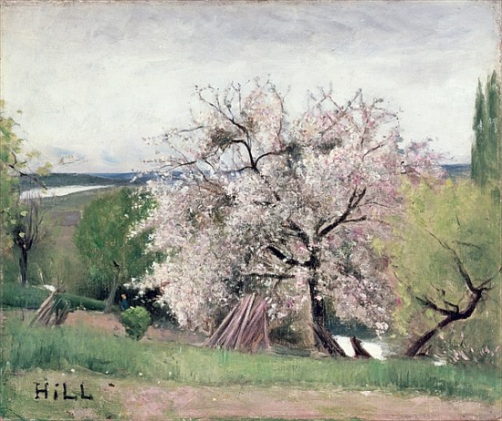Fruit Tree in Blossom, Bois-le-Roi de Carl Fredrik Hill