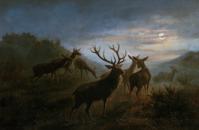 Red deer pack in the moonlight. de Carl Friedrich Deiker