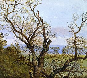 Gnarled oaks in spring de Carl Gustav Carus