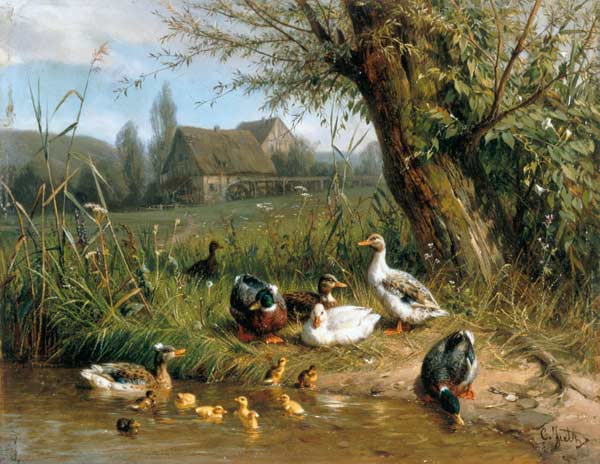Ducks with chicks at the water de Carl Jutz