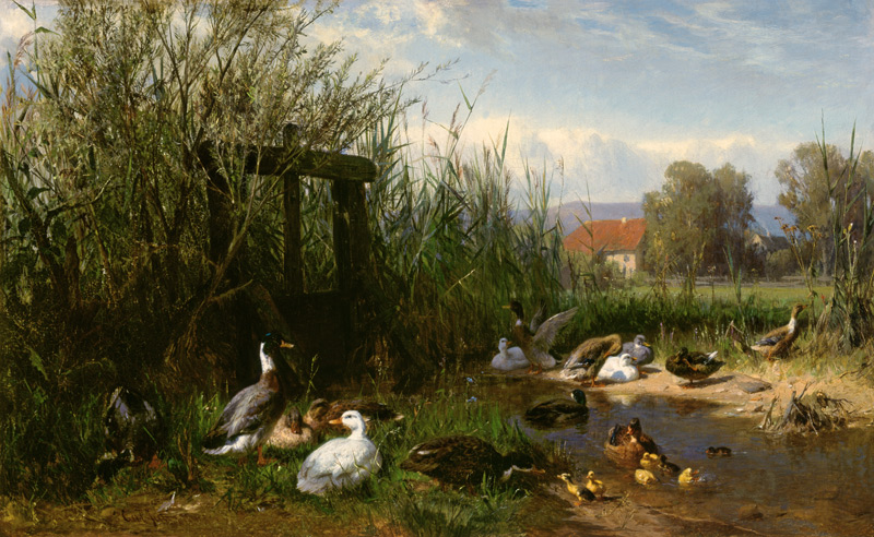 Ducks at the brook de Carl Jutz