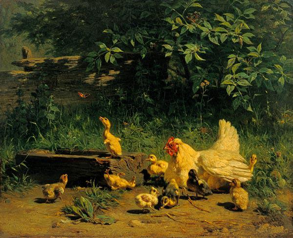 Hen with chicks and young ducks