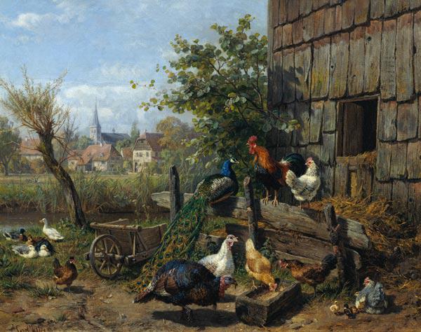 The Farmyard