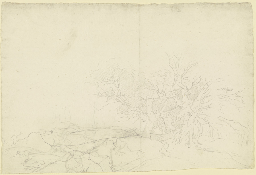 Landschaft mit Bäumen und Felsstücken de Carl Philipp Fohr