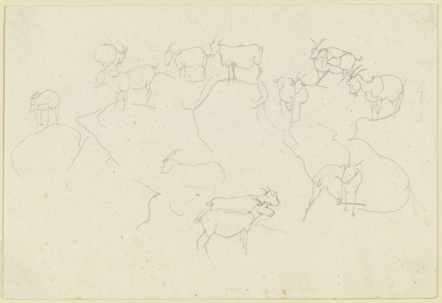 Herd of goats on rocks de Carl Philipp Fohr