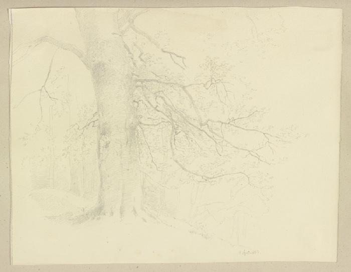 Old tree de Carl Theodor Reiffenstein
