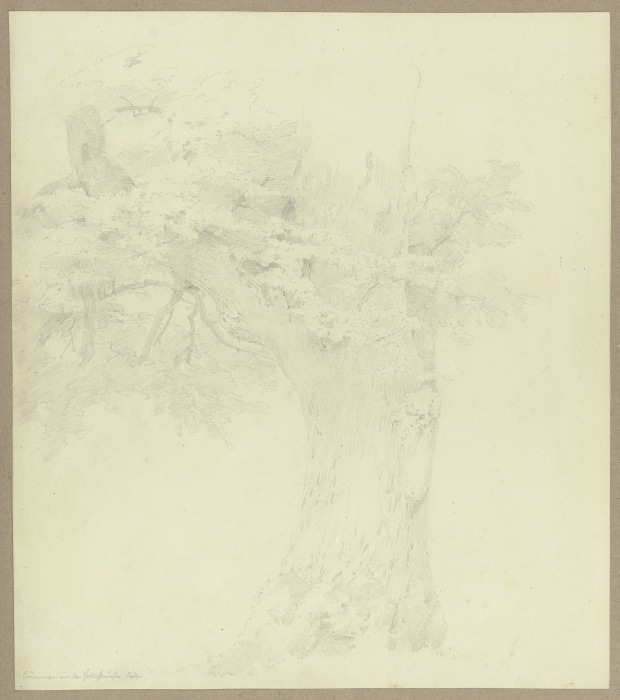Alter Baum am Brunnen bei der Holzhäuser Öde de Carl Theodor Reiffenstein