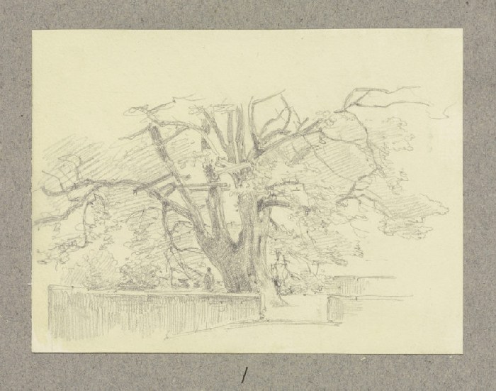 Alter Baum, umgeben von Mäuerchen de Carl Theodor Reiffenstein