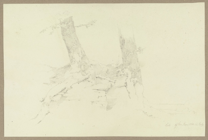 An einer Erdabbruchkante auf steinigem Grund wachsende Bäume de Carl Theodor Reiffenstein