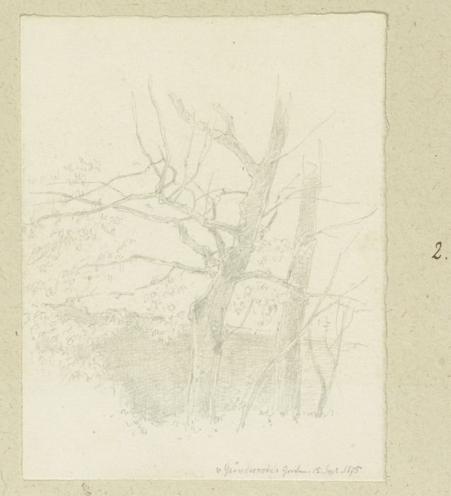 Bäume an der Mauer des von Günderroder Gartens de Carl Theodor Reiffenstein
