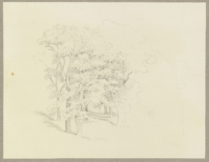 Trees on a slope de Carl Theodor Reiffenstein