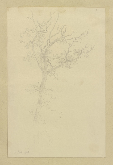 Tree de Carl Theodor Reiffenstein