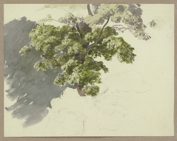 Tree in the wind de Carl Theodor Reiffenstein