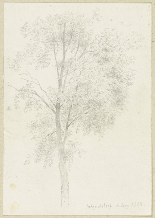 Tree near Salzschlirf de Carl Theodor Reiffenstein