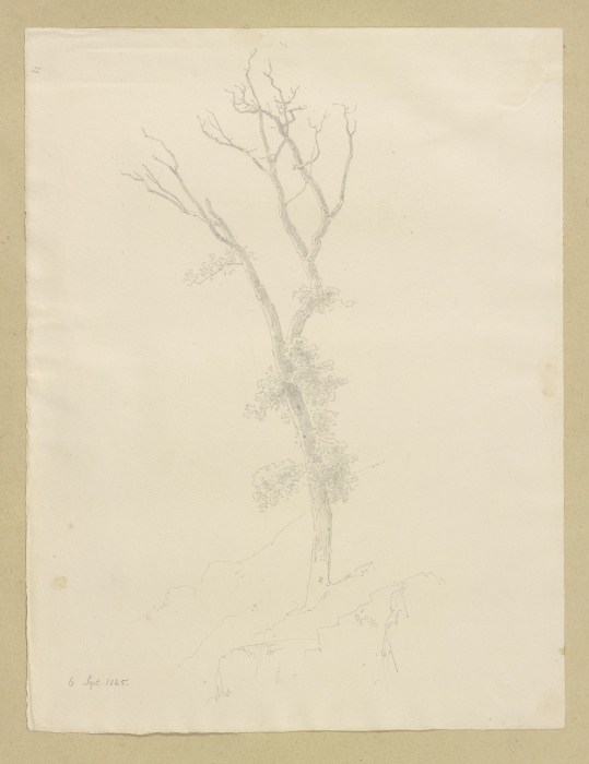 Baum mit abgestorbener Krone de Carl Theodor Reiffenstein