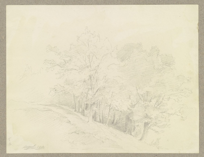 Tree-covered grove de Carl Theodor Reiffenstein