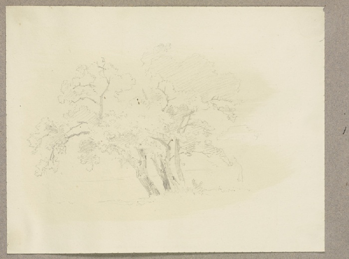 Group of trees de Carl Theodor Reiffenstein