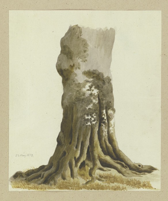 Tree trunk de Carl Theodor Reiffenstein