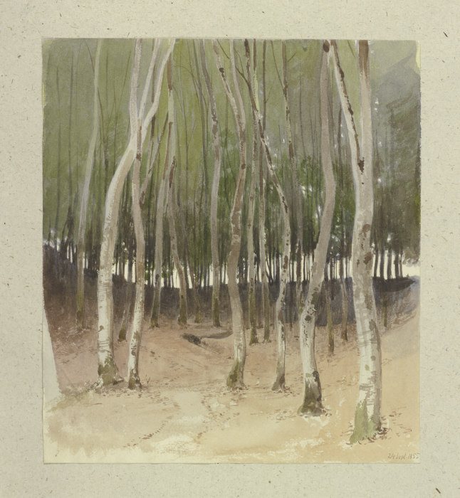Birch forest de Carl Theodor Reiffenstein