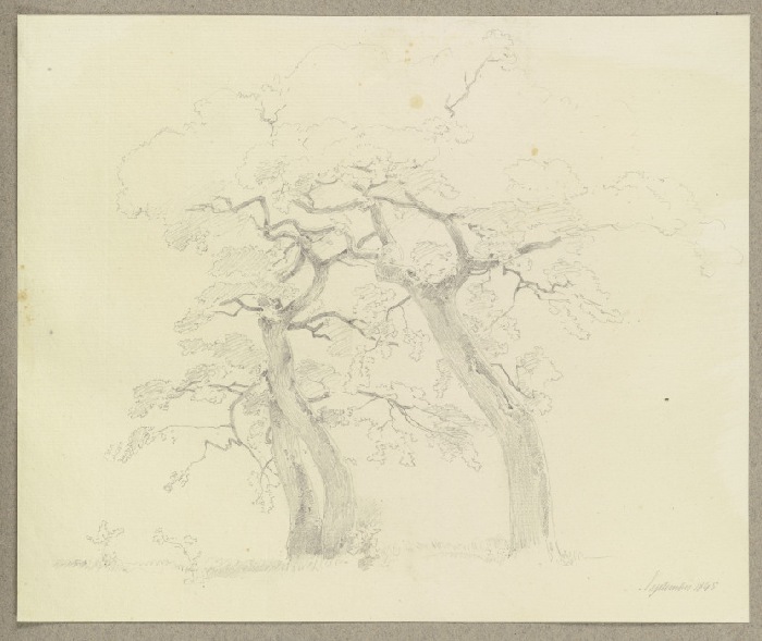 Three trees de Carl Theodor Reiffenstein