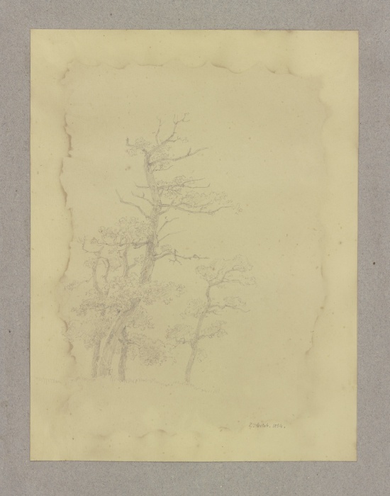 Group of leafless trees de Carl Theodor Reiffenstein