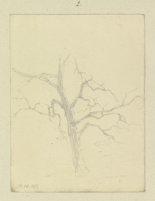 Leafless tree de Carl Theodor Reiffenstein