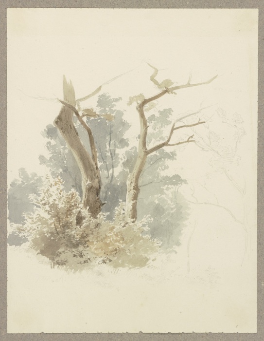 Waldpartie, im Vordergrund ein Baumpaar de Carl Theodor Reiffenstein