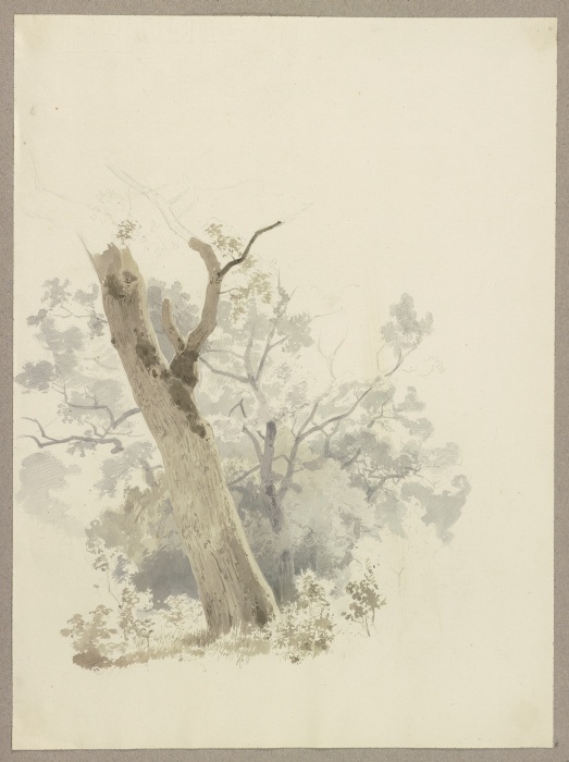 Waldpartie, im Vordergrund ein schief gewachsener Baum de Carl Theodor Reiffenstein