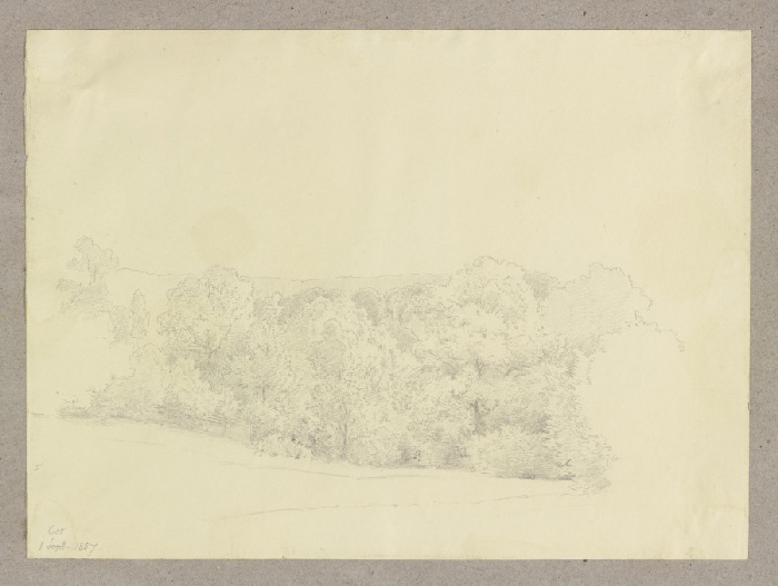 Edge of a wood de Carl Theodor Reiffenstein