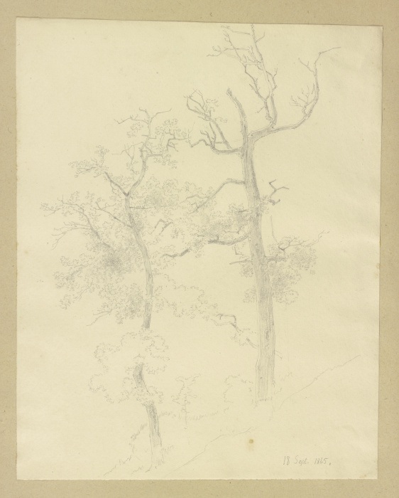 Zwei an einem Hang stehende Bäume de Carl Theodor Reiffenstein