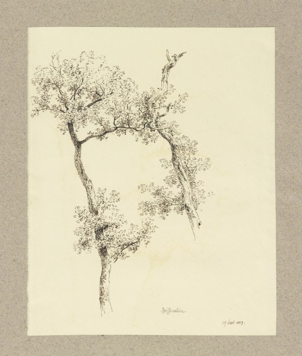 Two trees de Carl Theodor Reiffenstein
