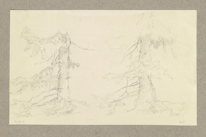 Zwei Nadelbäume im Ilsetal de Carl Theodor Reiffenstein