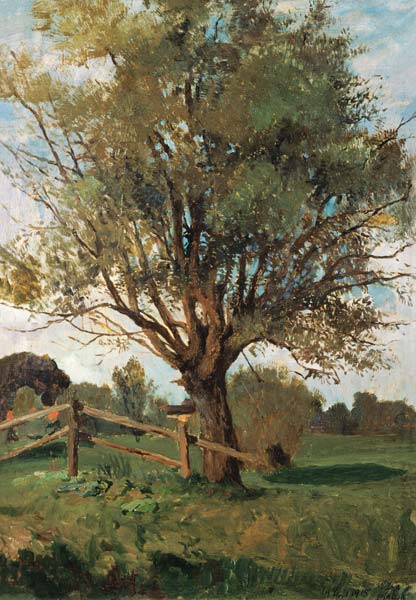 The old tree. de Carl Vinnen