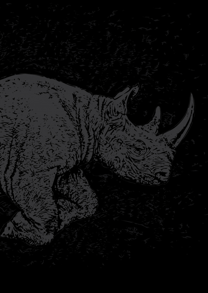 Black Rhino Charging de Carlo Kaminski
