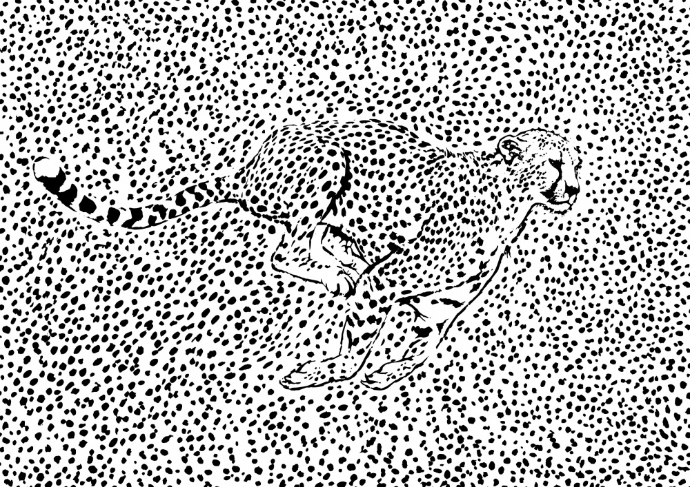 Cheetah Full Sprint de Carlo Kaminski