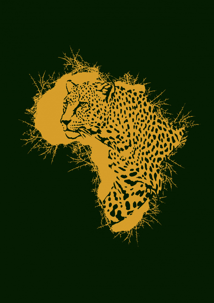 Leopard Thorny Africa de Carlo Kaminski