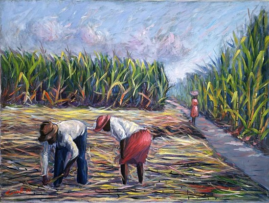 Sugarcane Harvest de  Carlton  Murrell