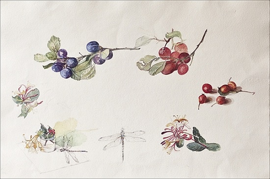 Autumn Fruits and Flowers de Caroline  Hervey-Bathurst