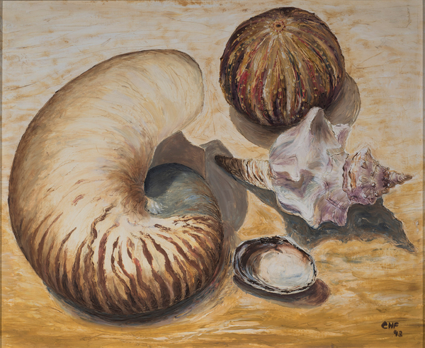 Seashells de Carolyn  Hubbard-Ford