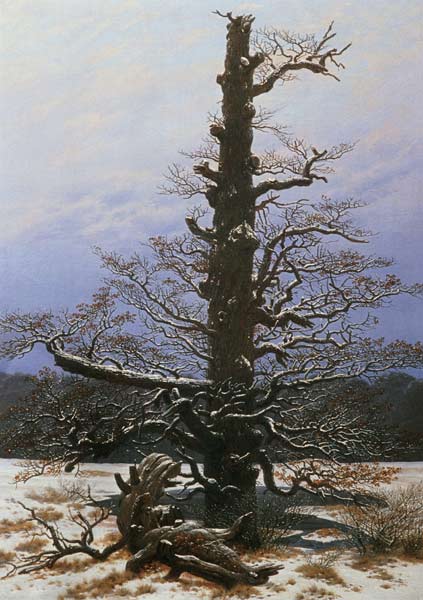 Oak Tree in the Snow de Caspar David Friedrich