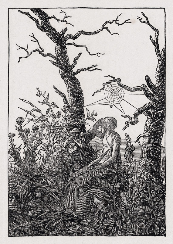 Woman with the cobweb de Caspar David Friedrich