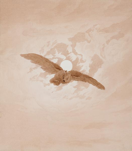 Owl Flying against a Moonlit Sky de Caspar David Friedrich