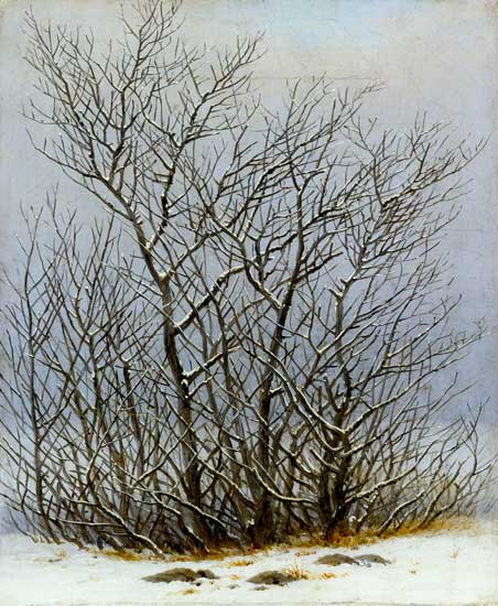 Arbustos en la nieve de Caspar David Friedrich
