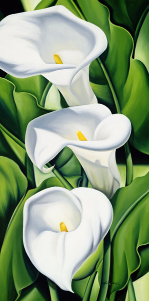 Lilies de Catherine  Abel